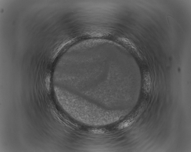 X0000062630596200601111102