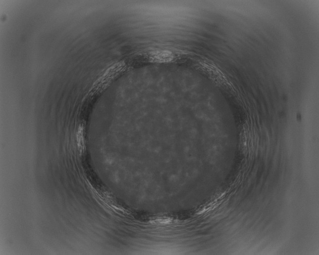 X0000062630598200601111102