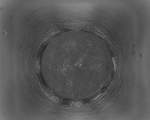 X0000062630599200601111102