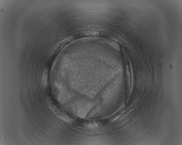 X0000062630600200601111102