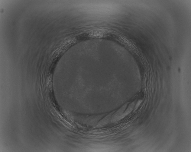 X0000062630601200601111102