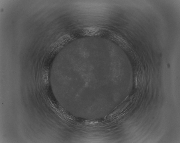 X0000062630602200601111102