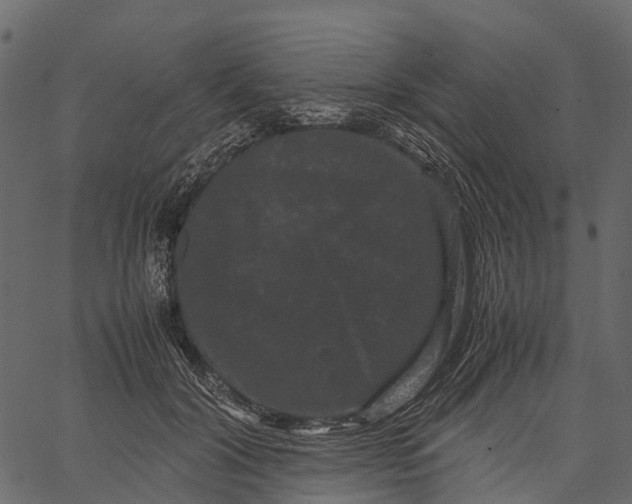 X0000062630604200601111102