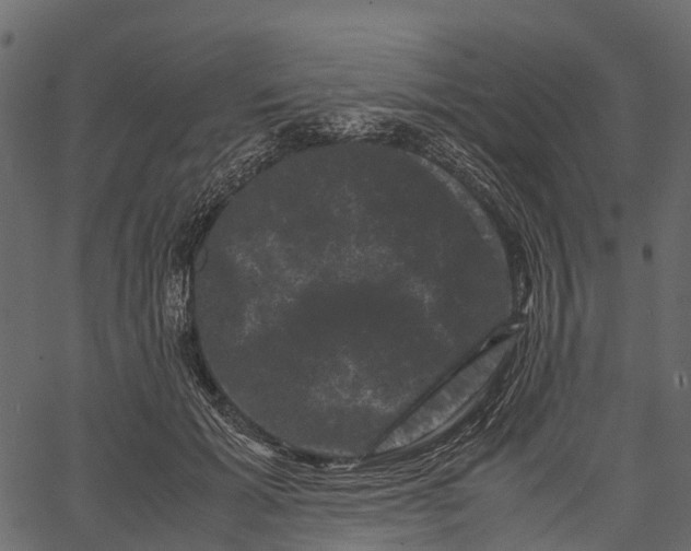 X0000062630605200601111102