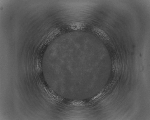 X0000062630606200601111102