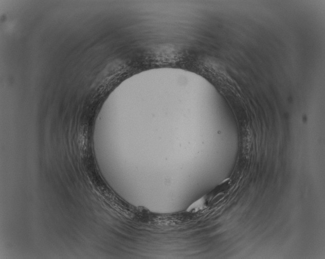 X0000062630608200601111102