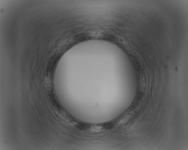 X0000062630609200601111102