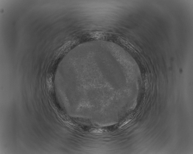 X0000062630611200601111102