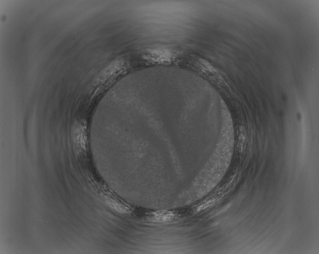 X0000062630612200601111102