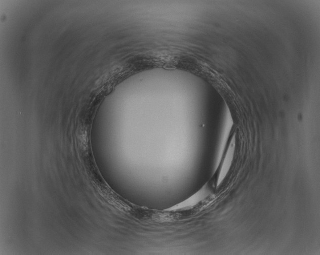 X0000062630613200601111102