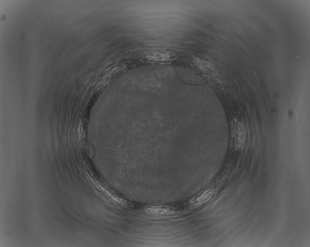 X0000062630614200601111102