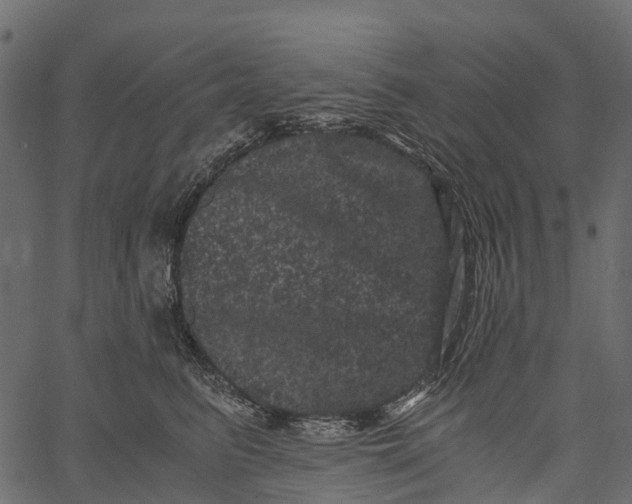 X0000062630615200601111102