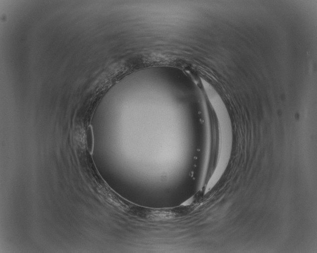 X0000062630617200601111101