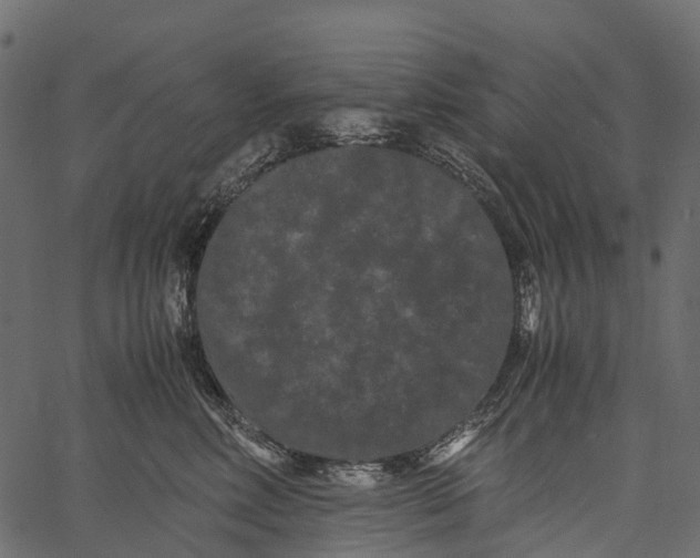 X0000062630618200601111101