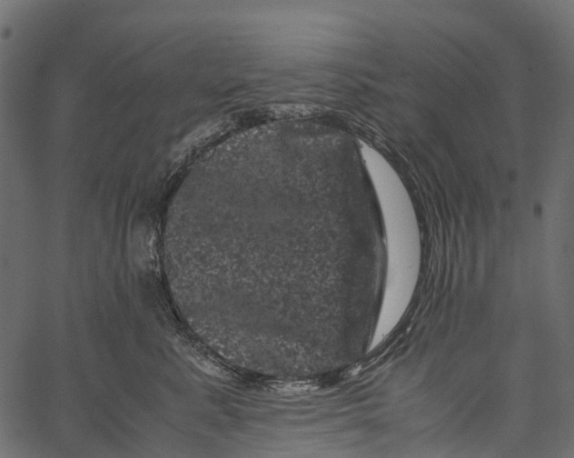 X0000062630619200601111101