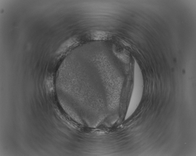 X0000062630620200601111101