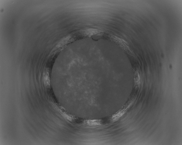 X0000062630622200601111101