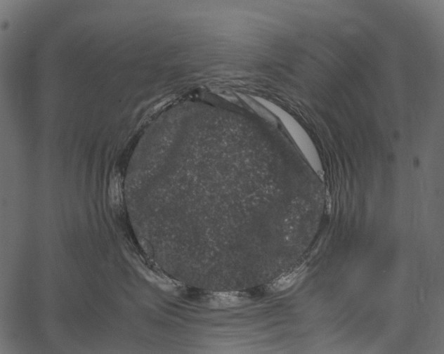 X0000062630623200601111101