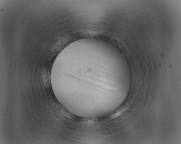 X0000062630624200601111101