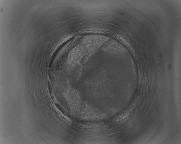 X0000062630625200601111101