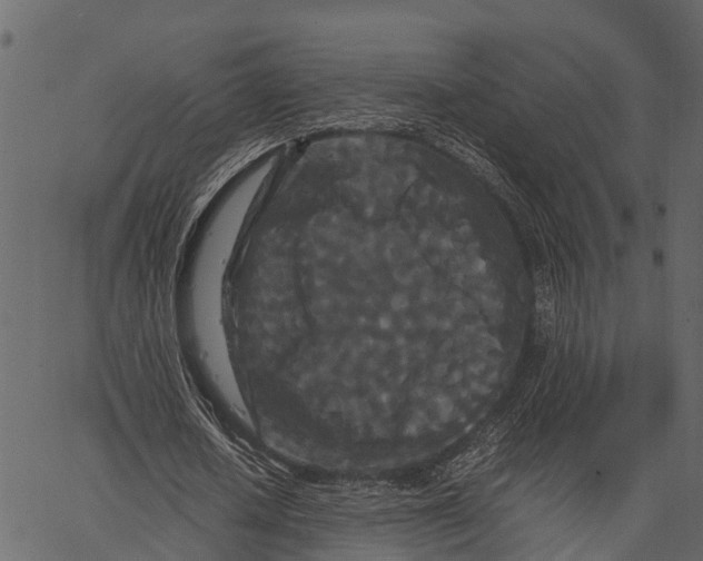 X0000062630626200601111101