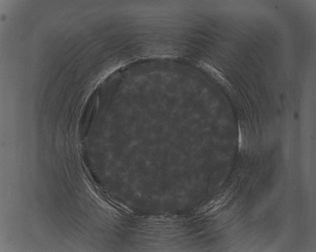 X0000062630627200601111101