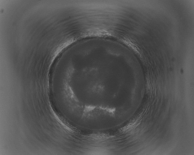 X0000062630630200601111101