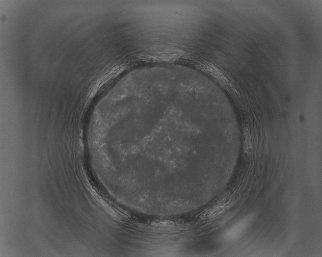 X0000062630634200601111101