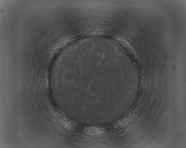 X0000062630635200601111101