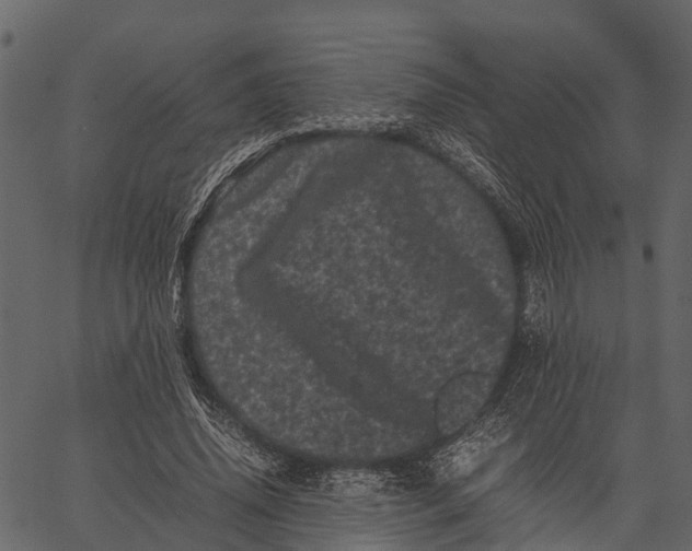 X0000062630636200601111101