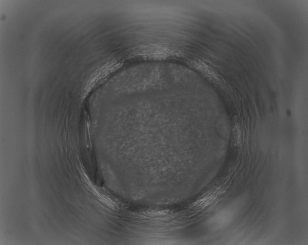 X0000062630638200601111101