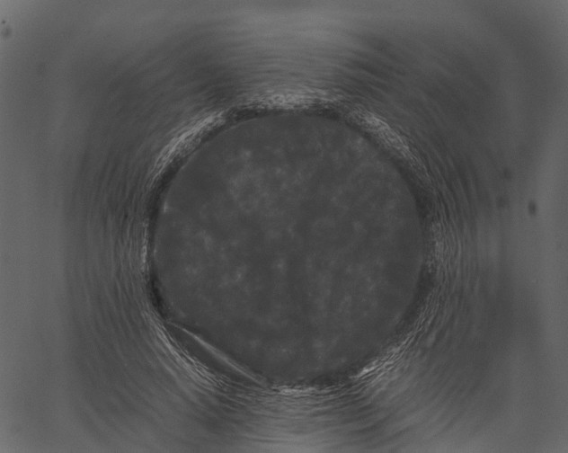 X0000062630640200601111101