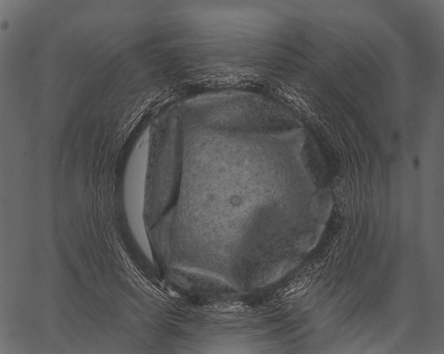 X0000062630642200601111101