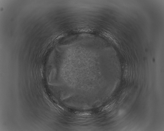 X0000062630643200601111101