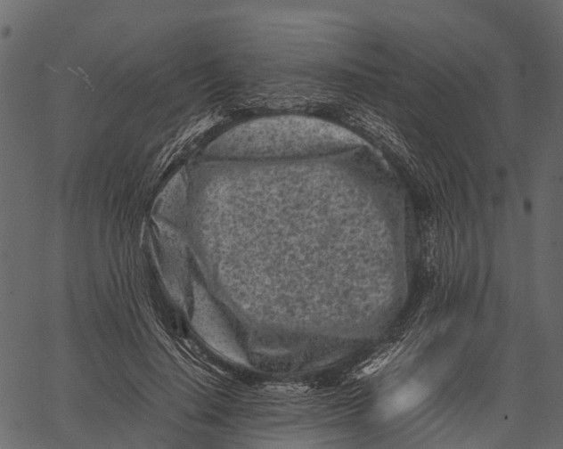 X0000062630644200601111101