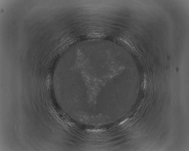 X0000062630647200601111101