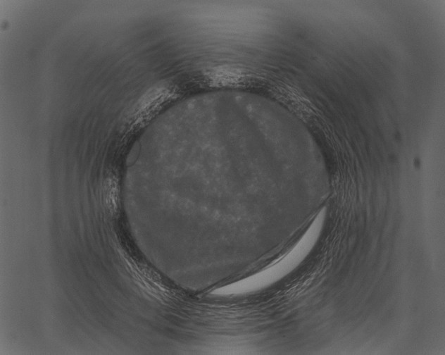 X0000062630648200601111101