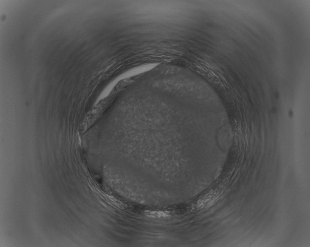 X0000062630649200601111101