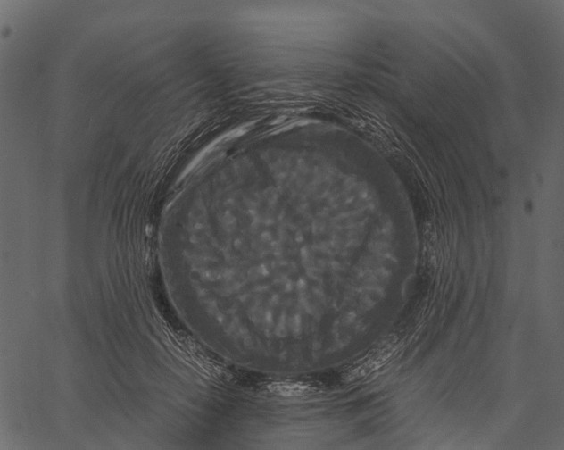 X0000062630650200601111101