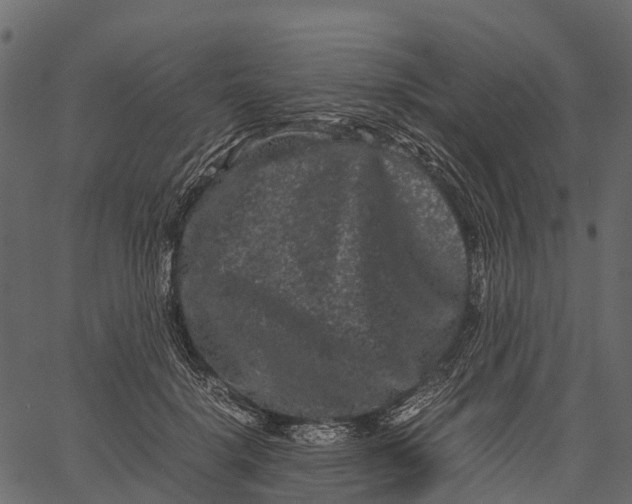 X0000062630652200601111101