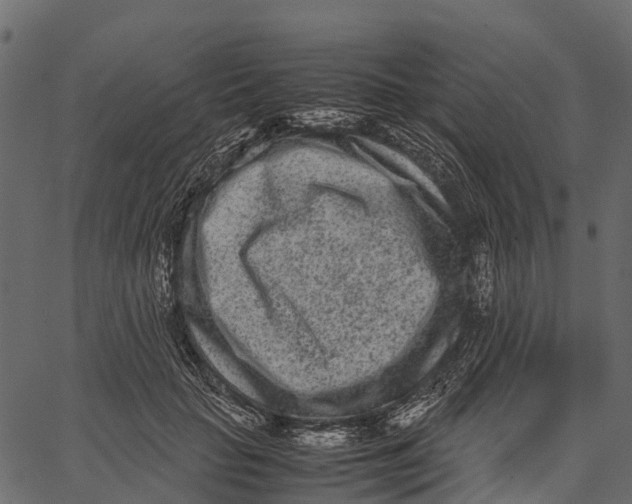 X0000062630653200601111101