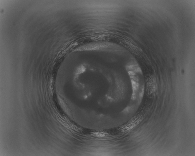 X0000062630654200601111101