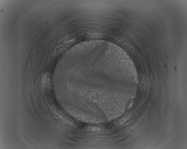 X0000062630655200601111101