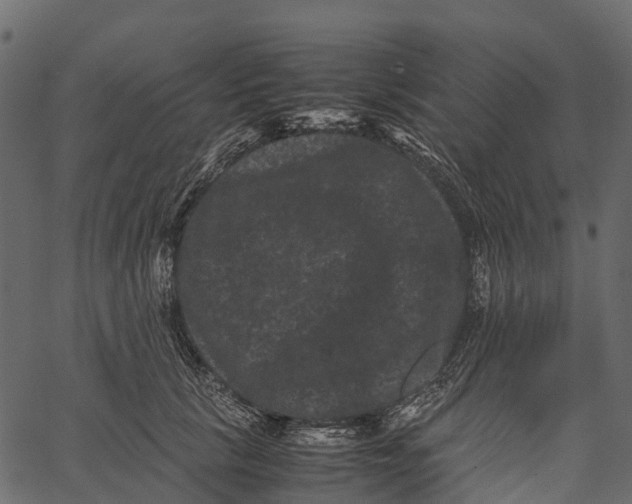 X0000062630657200601111101