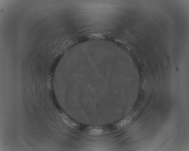 X0000062630658200601111101