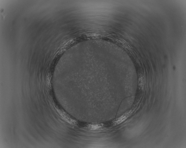 X0000062630662200601111101