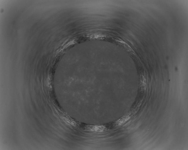 X0000062630663200601111101