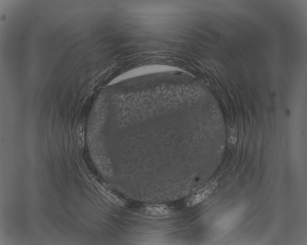 X0000062630666200601111101