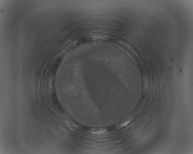 X0000062630667200601111101