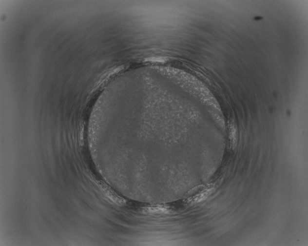 X0000062630668200601111101